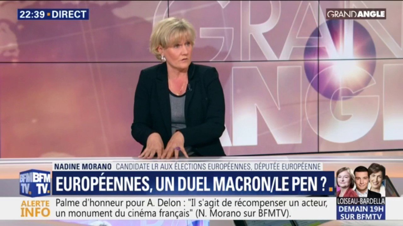 Européennes: "Emmanuel Macron a nationalisé le scrutin", affirme Nadine Morano