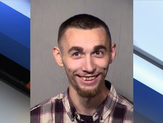 Man arrested after throwing puppy "like a baseball" - ABC15 Crime
