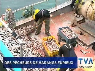 TVA Nouvelles 18h CHAU 14 mai 2019