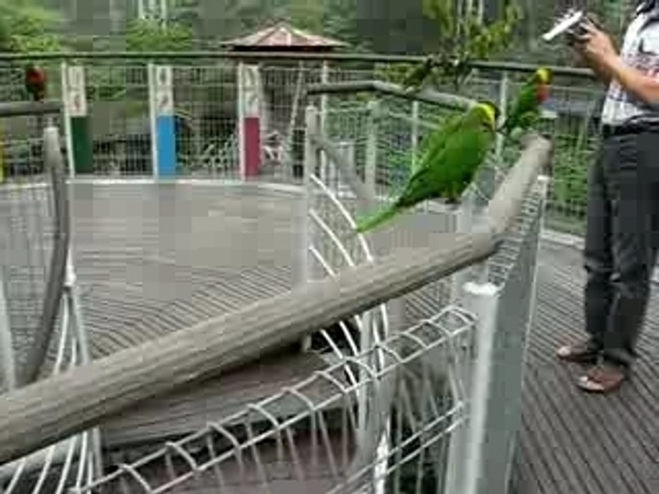 Bird Park