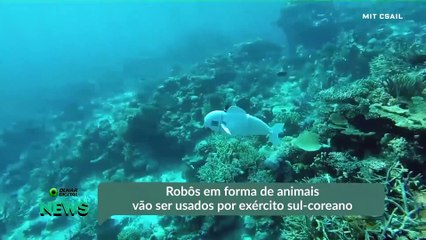 Robôs em forma de animais vão ser usados por exército sul-coreano