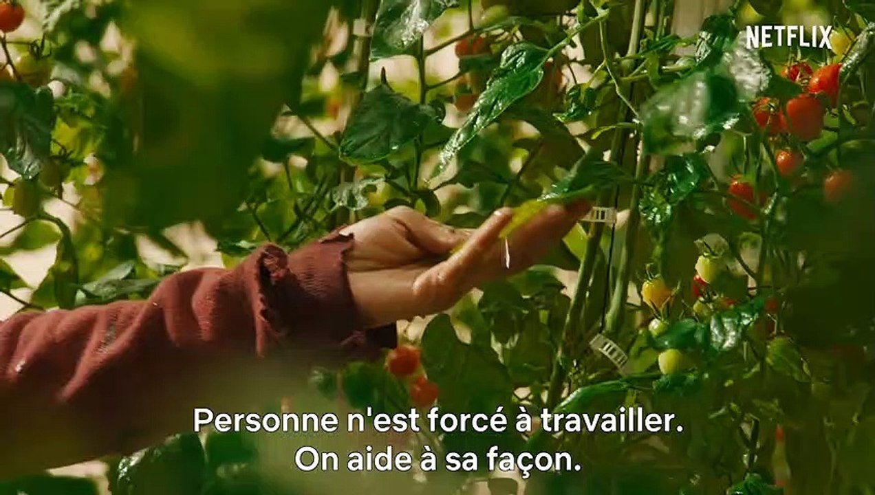 3 % Saison 3