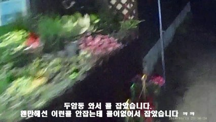 190514 광주대리운전