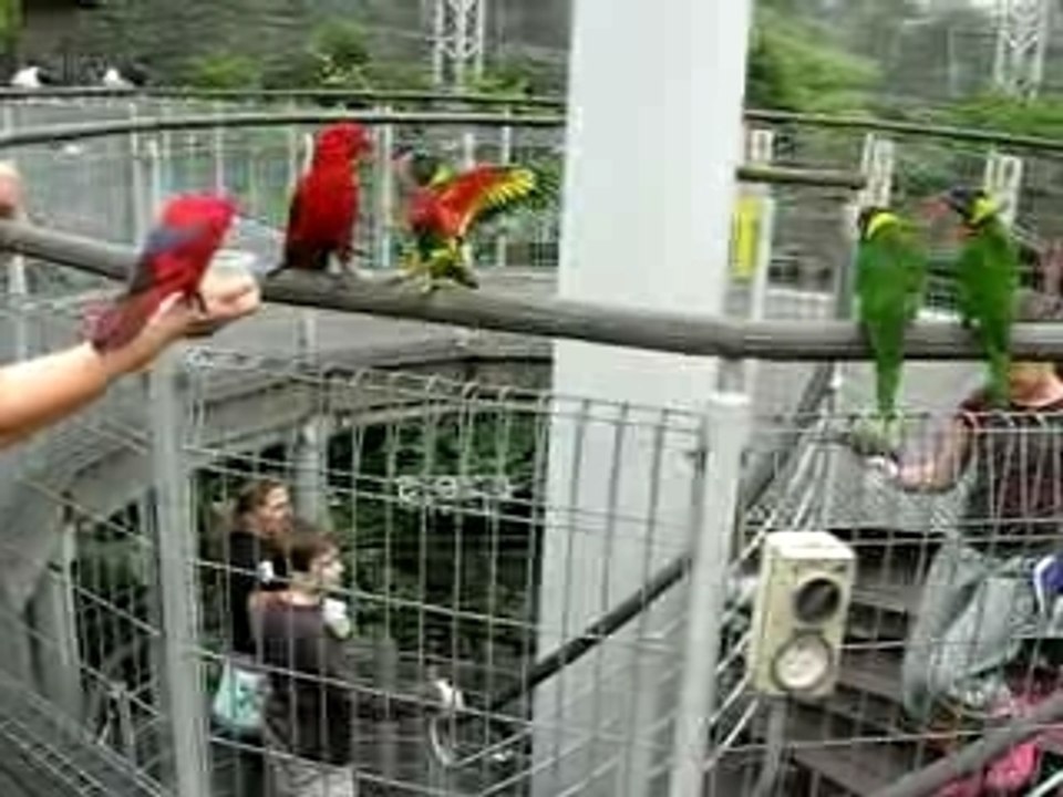Bird Park