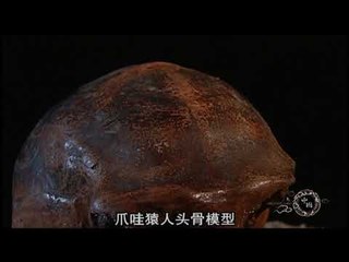 中国人从哪里来（一）——我们是谁？为何生活在亚洲东部被称为“中国”的地方？【《发现中国》Discover China】