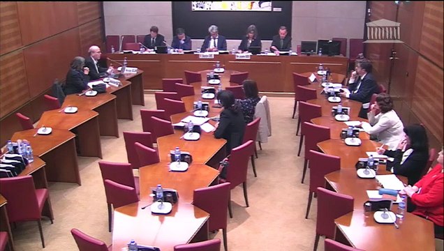 Commission d'enquête sur l'inclusion des élèves handicapés : Auditions diverses - Mardi 14 mai 2019