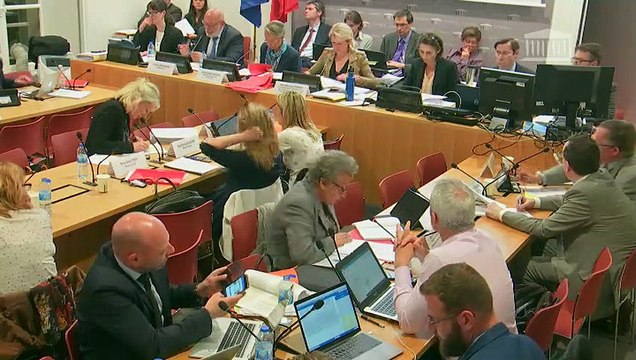 Commission du développement durable : Orientation des mobilités (suite) - Mardi 14 mai 2019