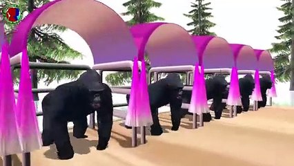 Learn Gorilla Colors With Color Water For Childrens ## || yellow green pink blue orange