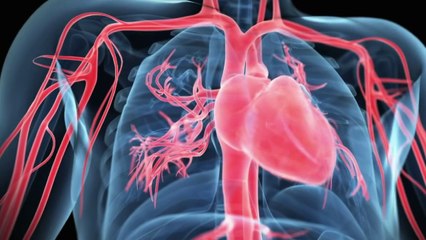 Santé - Sauver le cœur des femmes