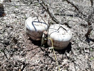 Bingöl'de 5 Odalı Sığınak ve 60 Kiloluk Patlayıcı İmha Edildi