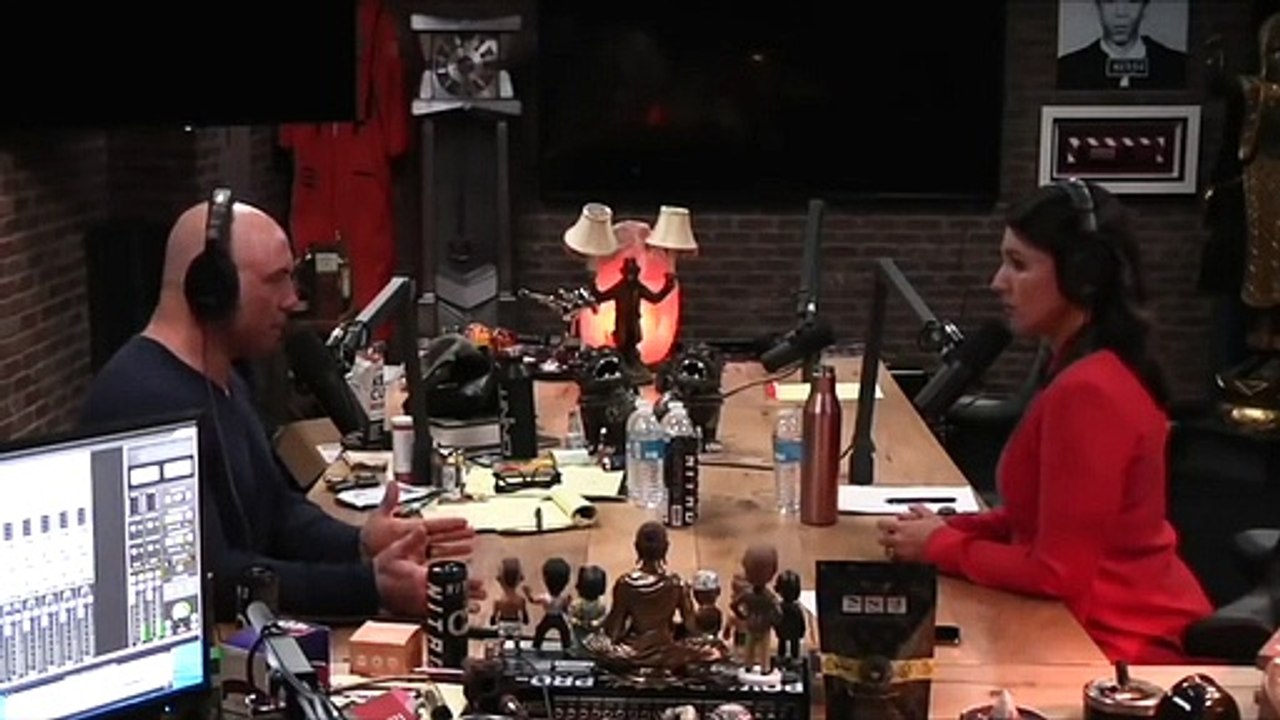 Tulsi Gabbard Says She Would Drop Charges Against Julian Assange And Edward Snowden