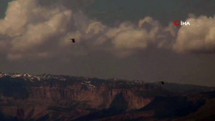 Habur’da 1’i kadın 4 terörist güvenlik güçlerine teslim oldu