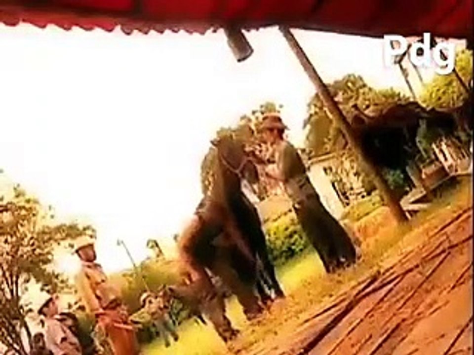 Fiera inquieta # canción acústica# pasión de gavilanes