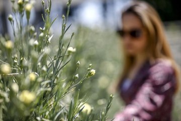 Türkiye'nin İlk Tescilli Karanfili Dünya Pazarına Sunuluyor