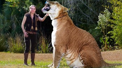 Var Olduğuna İnanamayacağınız Melez Hayvanlar