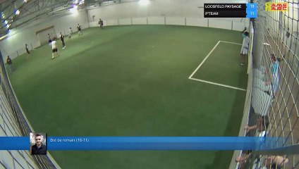 But de romain (16-11) - LOOSFELD PAYSAGE Vs P'TEAM - 14/05/19 18:00 - LIGUE 4  - Poitiers Game Parc
