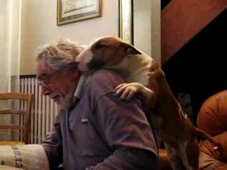 billig la pot de colle :)