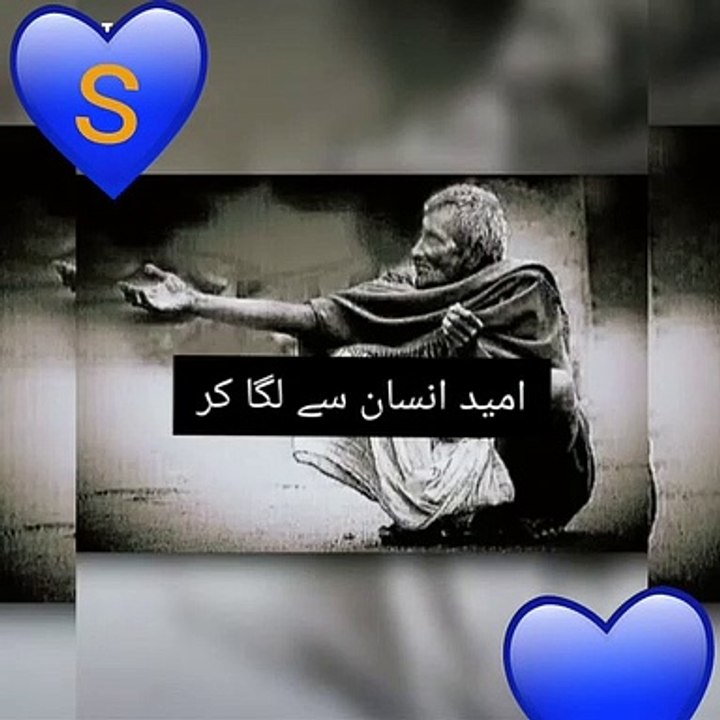 امید انسان سے لگا کر شکوہ خدا سے کرتے ہو