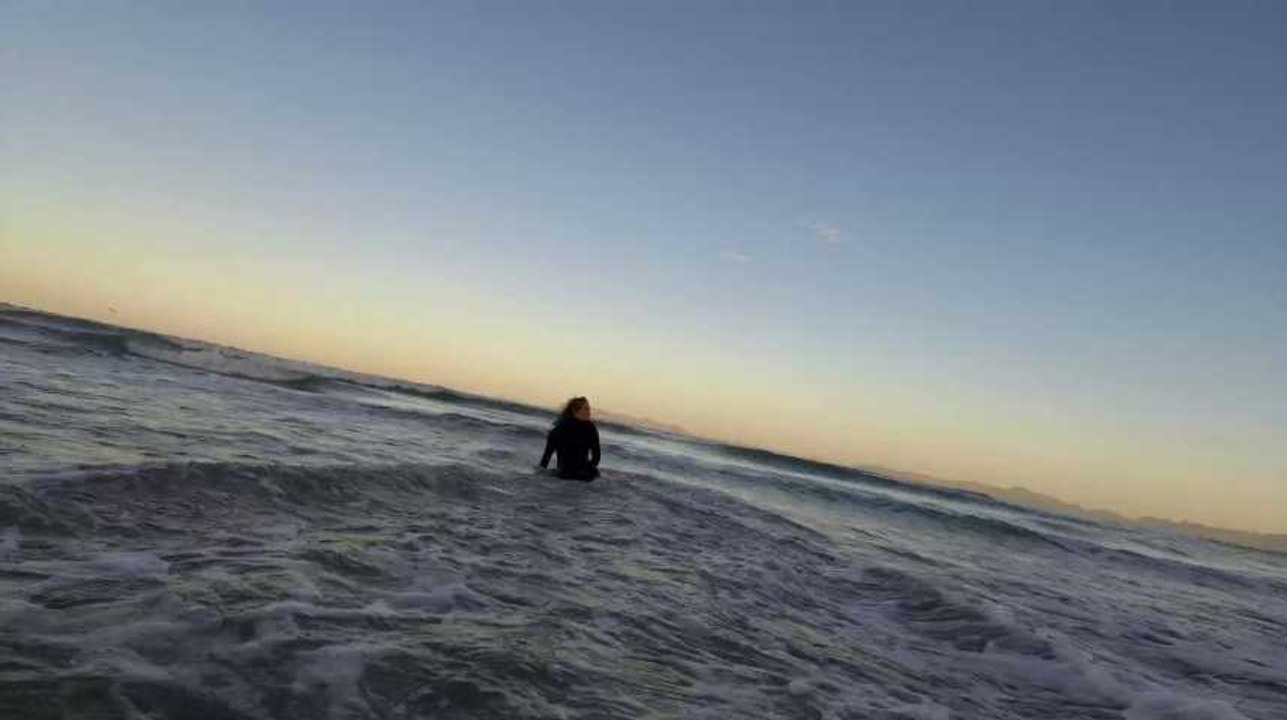 Landes : un requin sème la panique pendant un cours de surf
