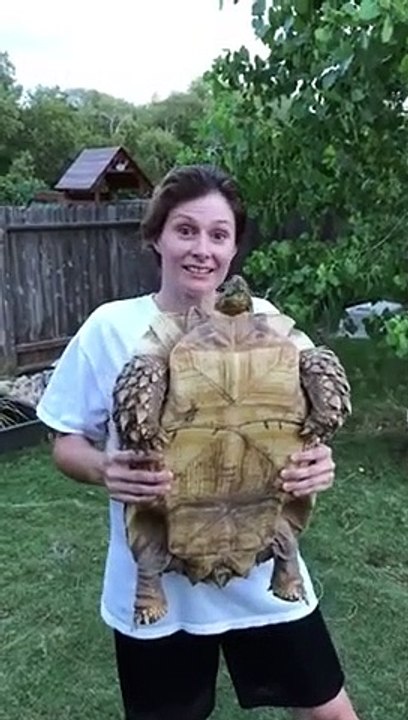 Elle tient sa tortue qui lui pisse dessus !