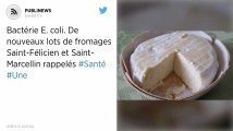 Bactérie E. coli. De nouveaux lots de fromages Saint-Félicien et Saint-Marcellin rappelés