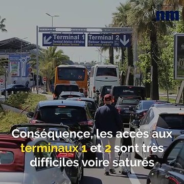 Aéroport de Nice, record de détenus, Xylella Fastidiosa: voici votre brief info de ce mercredi après-midi