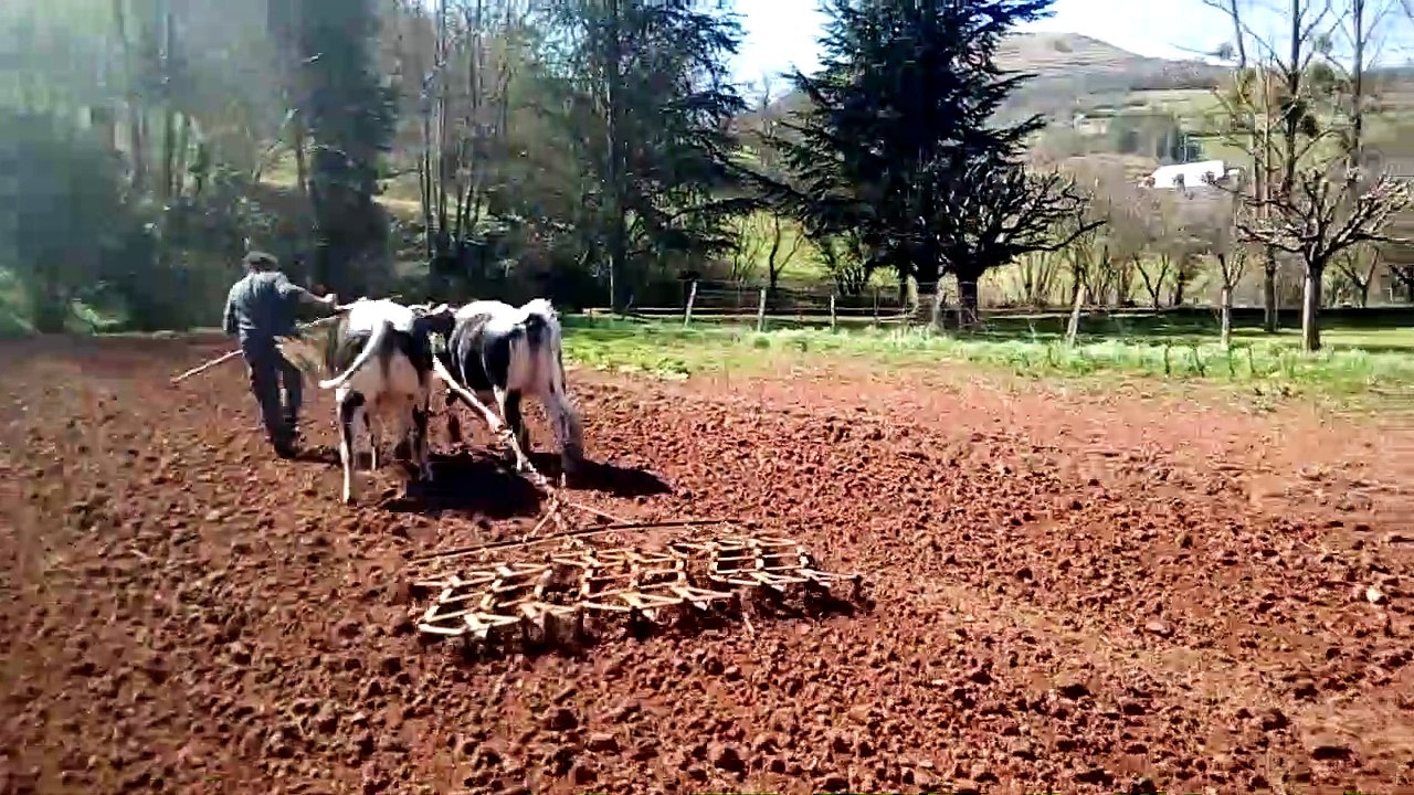 Joël Blanc travaux de Printemps 2019