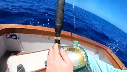 Kona Season Preview
