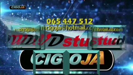 GOLUB CVITKO RAKITNO 2019