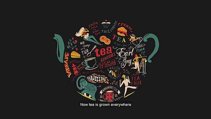 Chai Story.. (Kannada) Bengaluru Film Festival Awarded..