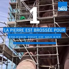 Lion de Belfort, le grand toilettage