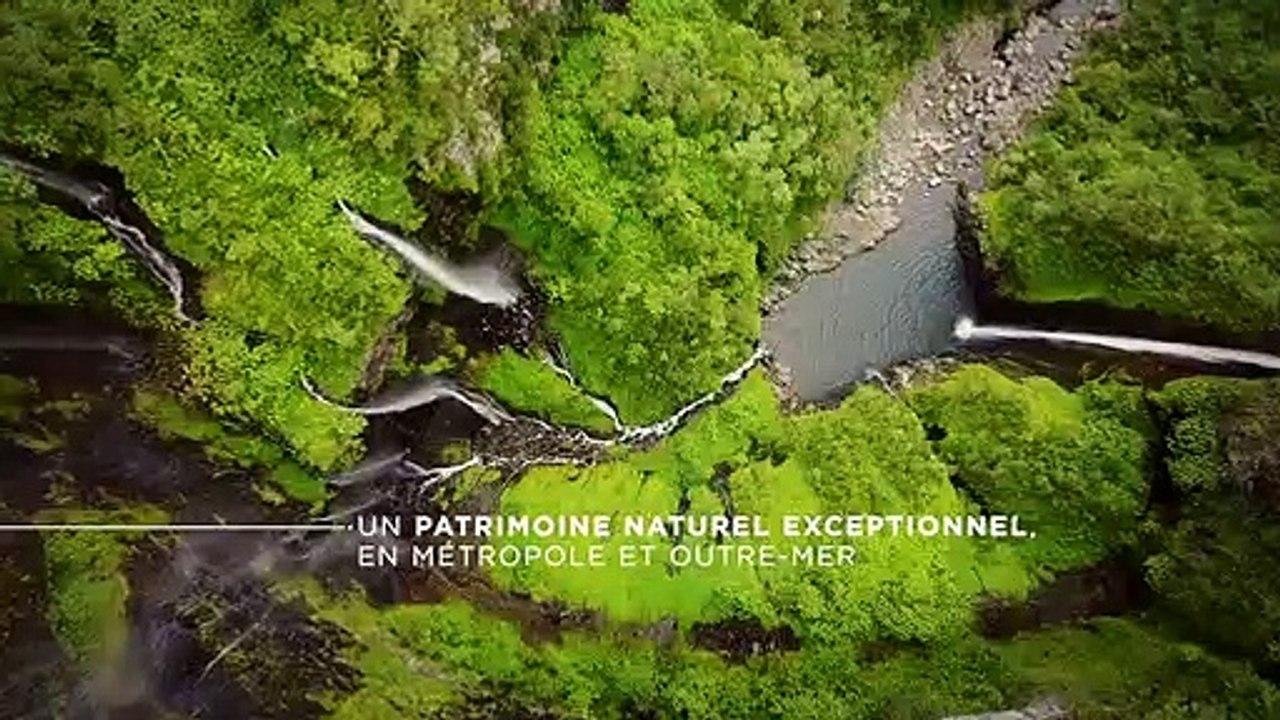 La biodiversité, c'est la vie !