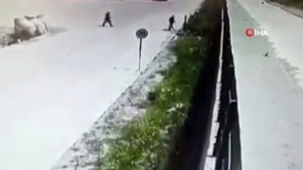 İşçilerin beslediği köpeği çitlerin üstünden kaldırıma böyle fırlattı