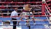 Mykal Fox vs Fazliddin Gaibnazarov (11-05-2019) Full Fight 720 x 1272