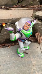 Buzz Gives the Bird