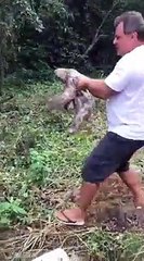 Il aide un paresseux à traverser la route