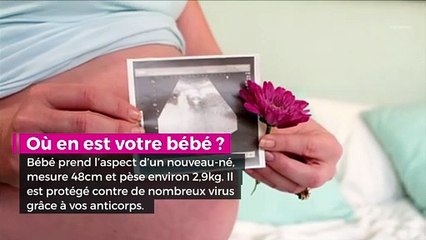 36 semaines de grossesse