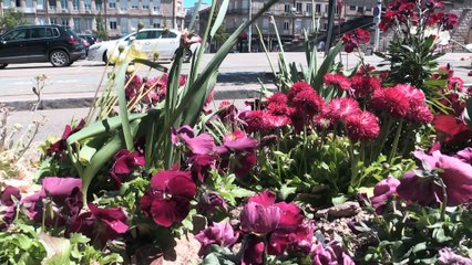 Firminy : la mairie va concerter avant de réaménager la place du Breuil