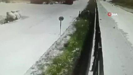 İşçilerin Beslediği Köpeği Çitlerin Üstünden Kaldırıma Böyle Fırlattı