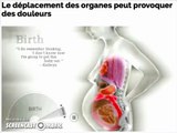 Déplacement des organes lors de la grossesse (Animation)