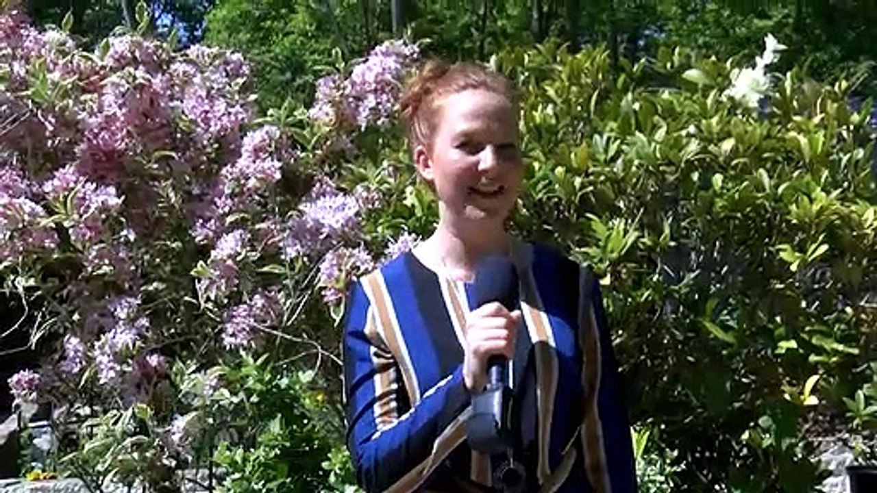 NEWS: 16th May 2019