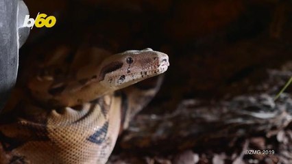 Odd Jobs Up for Grabs