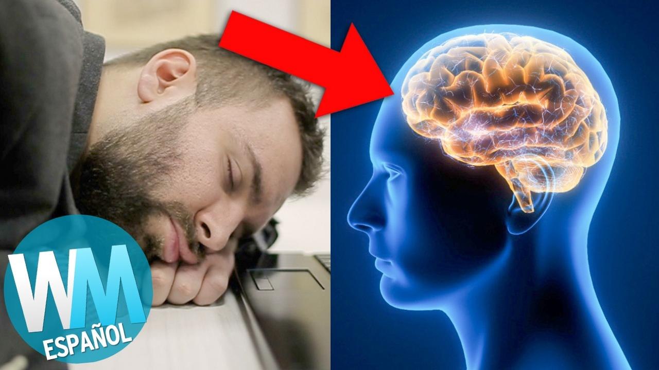 ¿Qué SUCEDE Realmente Si NO DUERMES?