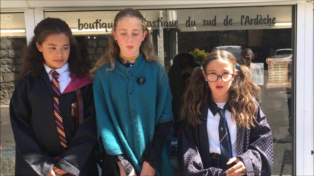 Ardèche : une boutique pour les fans d'Harry Potter a ouvert ses portes à Ruoms