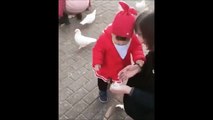 Cette fillette aime bien nourrir les oiseaux... Mais eux n'aiment pas trop