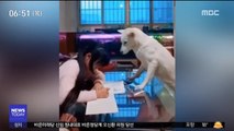 [투데이 영상] 