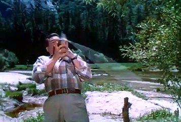 Forever Darling movie (1956)