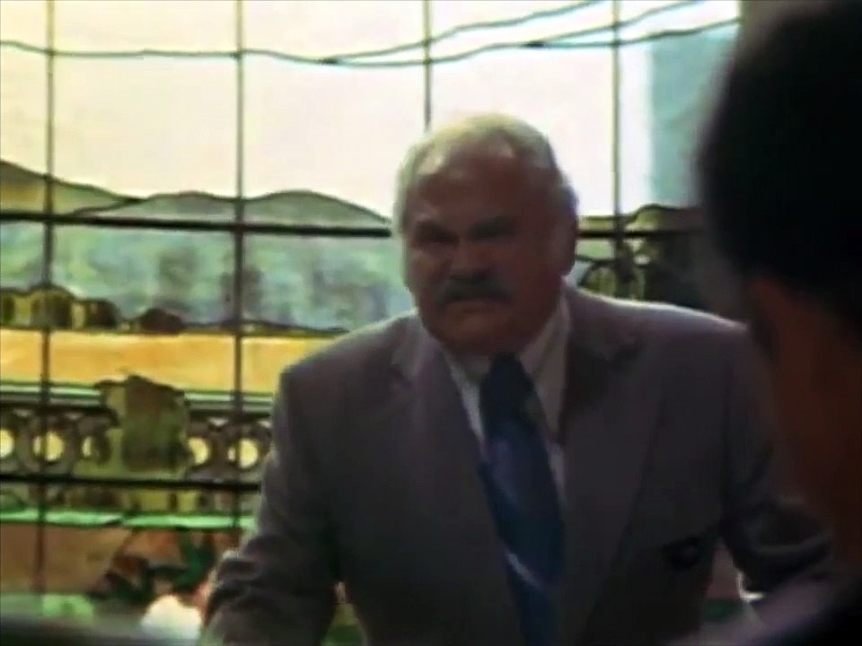 Freebie and the Bean Movie (1974)