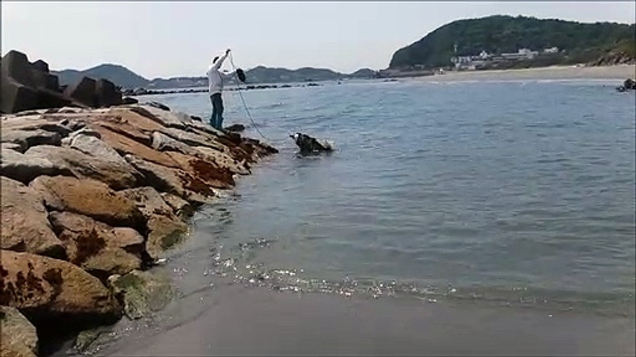 竜宮の磯