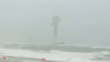 5 SEA SERPENTS CAUGHT ON CAMERA & SPOTTED IN REAL LIFE!